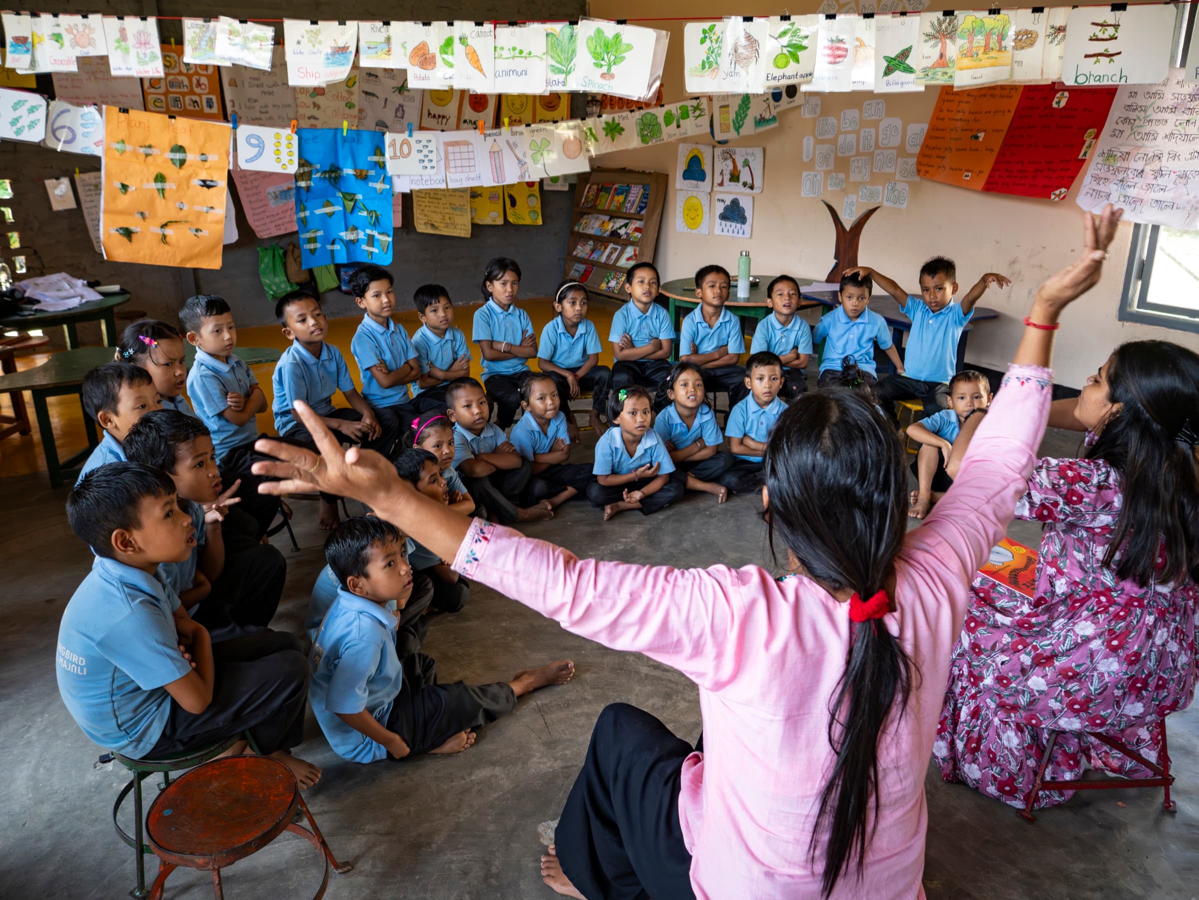 A Hummingbird classroom